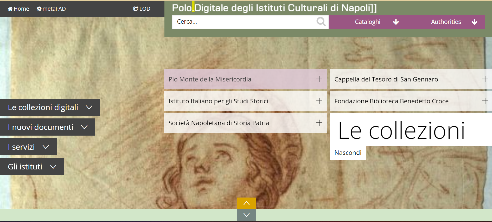 Polo digitale Napoli _ collezioni